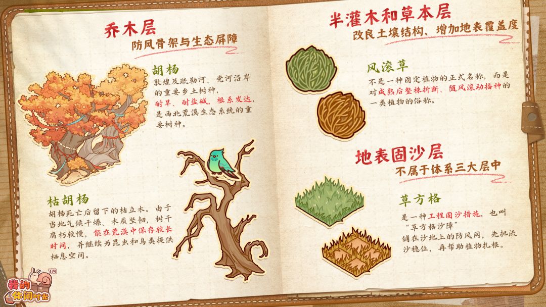 🌳护绿计划｜守护敦煌之境 2