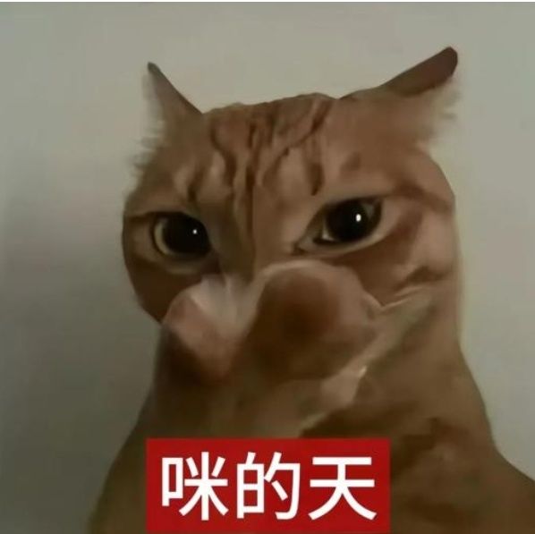 咪的天截图