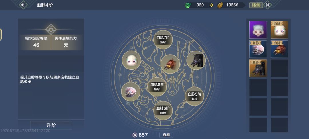 大佬们我该怎么变强? 4