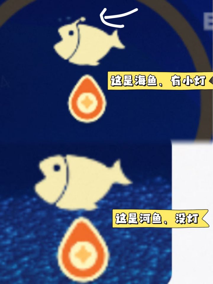 以防有人知道截图
