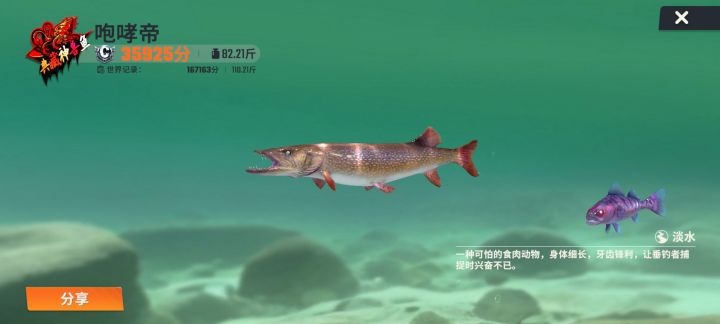 宝藏游戏又又又送皮肤啦截图