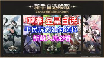 【鸣潮】自选五星如何选择！平民玩家轻松度过开荒期！新萌必看！