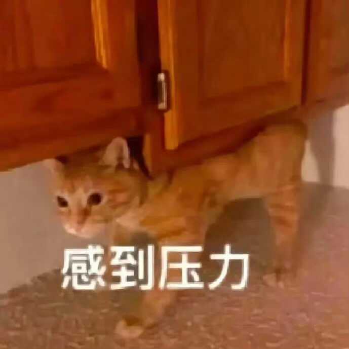 元气骑士,集!结!队伍ID:SKw4KvAXKRr749截图