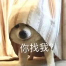 今天的游戏小攻略来啦~