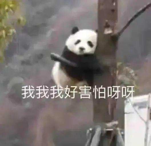 穷楼困难西北怎么打 1
