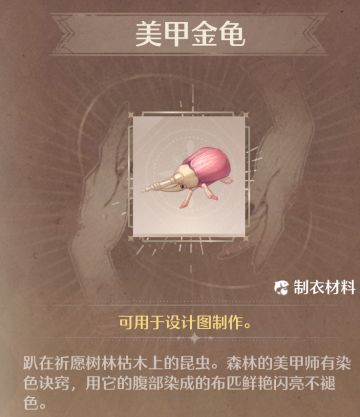 美甲金龟抓取点位