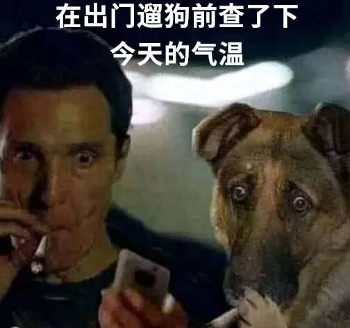 ✨今日份梗图分享第七十六期✨ 3