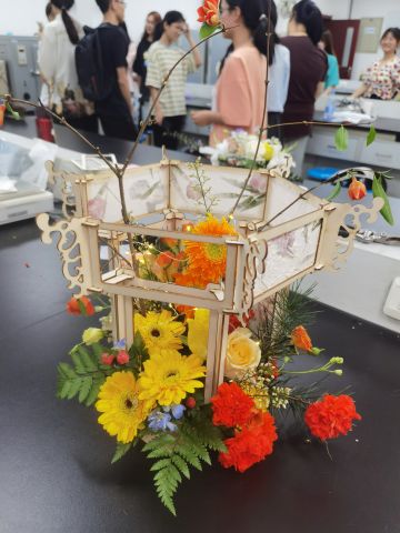 夏日活动⚠️昆虫警告【种类有点多标题写不下】