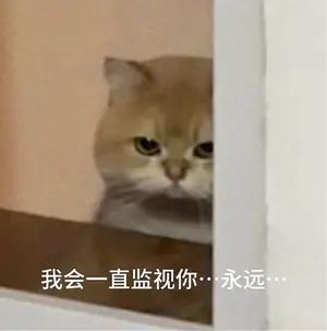 ໒꒰ྀིᜊ꒦ິ^꒦ິᜊ ꒱ྀིა截图