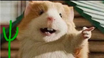 洞庭银月枪单挑五大挑战本