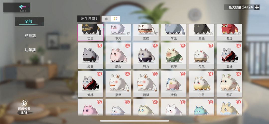 动态图片 6