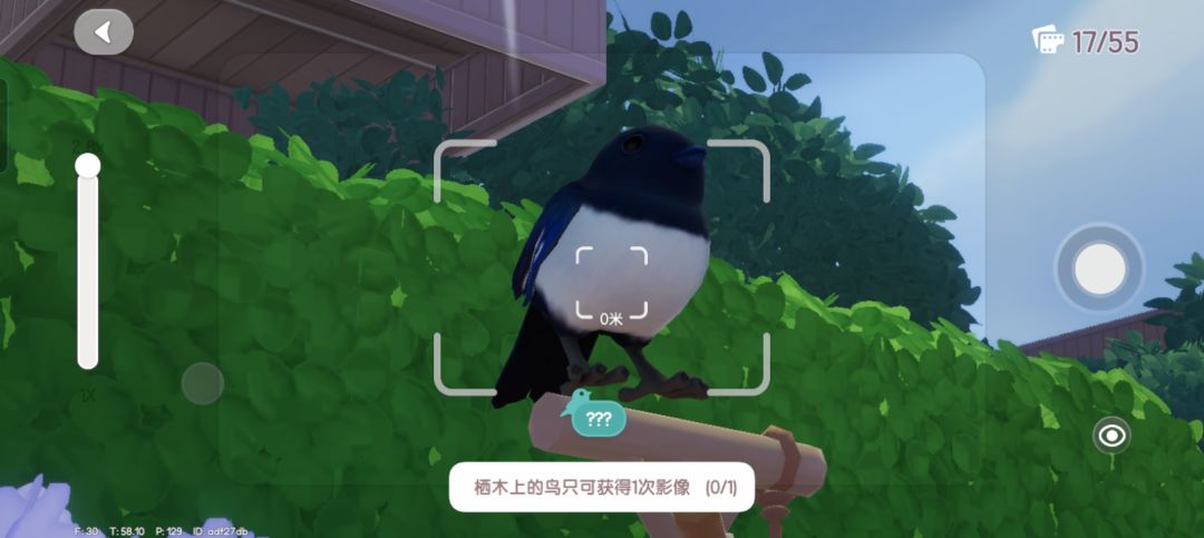 上个季节的鸟!!!! 2