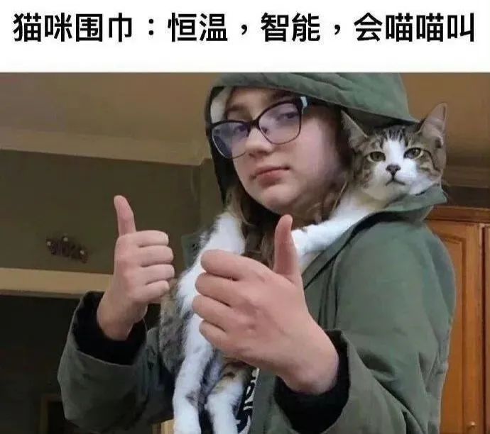今日份梗图分享 1