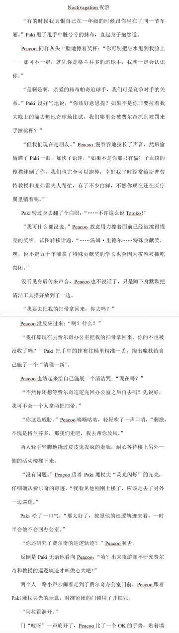 Noctivagation 夜游