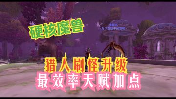 魔兽硬核 猎人刷怪升级 最效率天赋加点