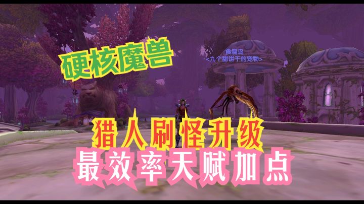 魔兽硬核 猎人刷怪升级 最效率天赋加点截图