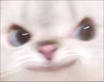 来谈部分流派加强吧