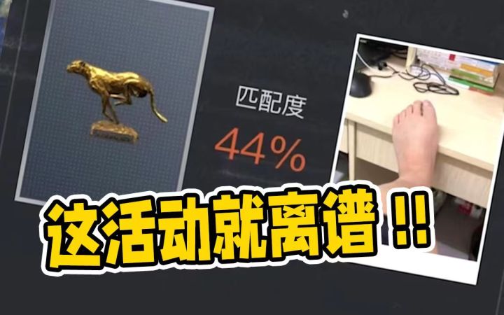 其他游戏玩家的相册 VS 暗区突围玩家的相册截图