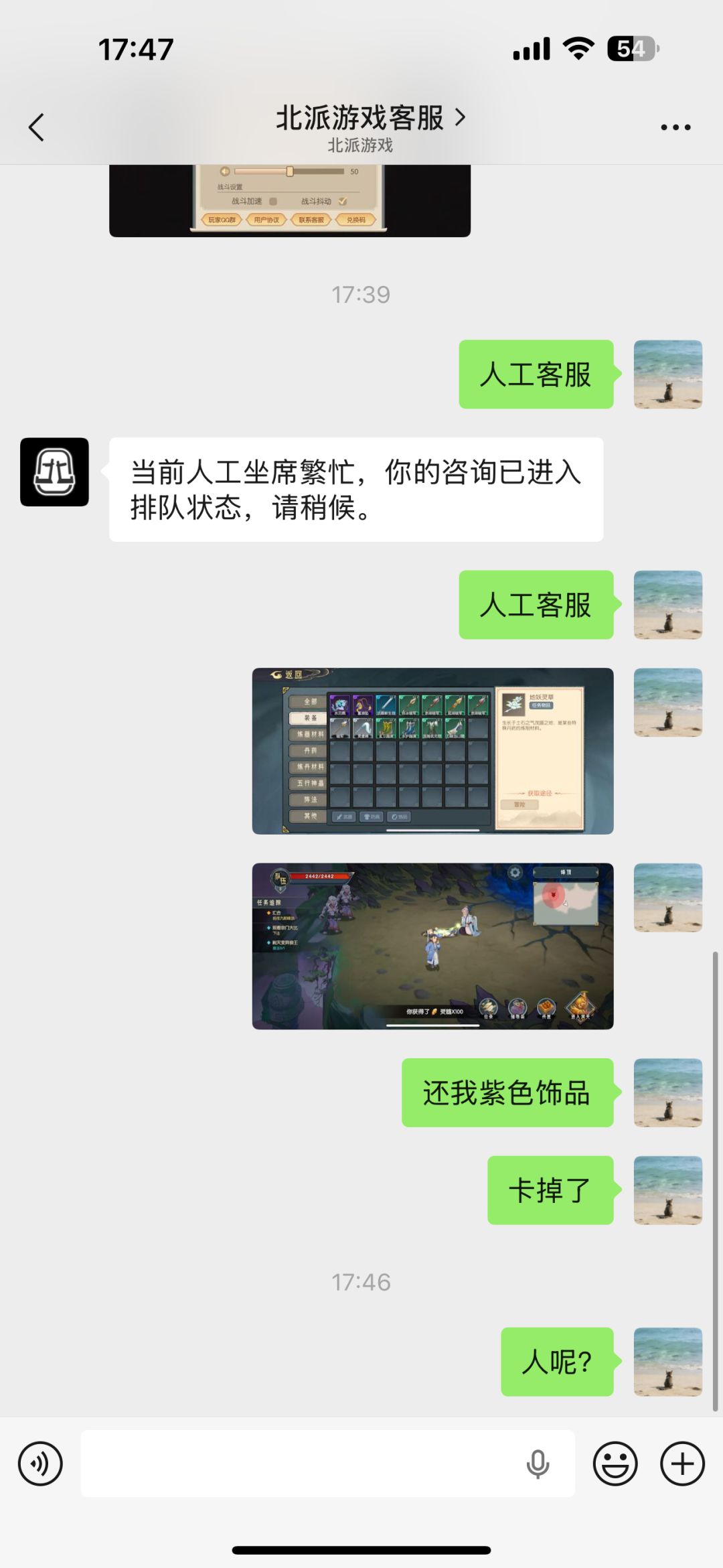 动态图片 3