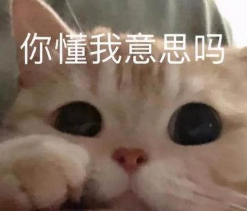 时空猎人3从入门到精通？！学会这10点让你轻松提战！