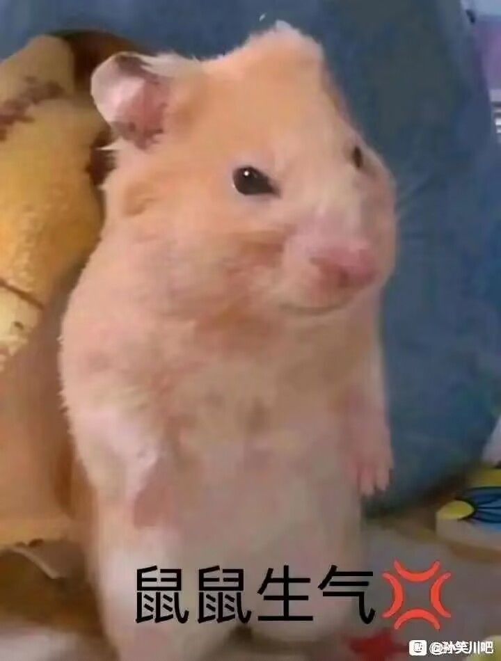 怎么进第二关?截图