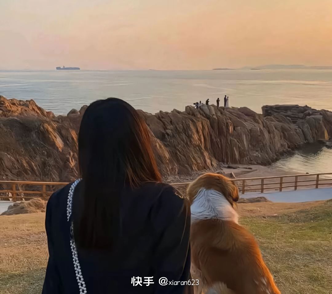 动态图片 7