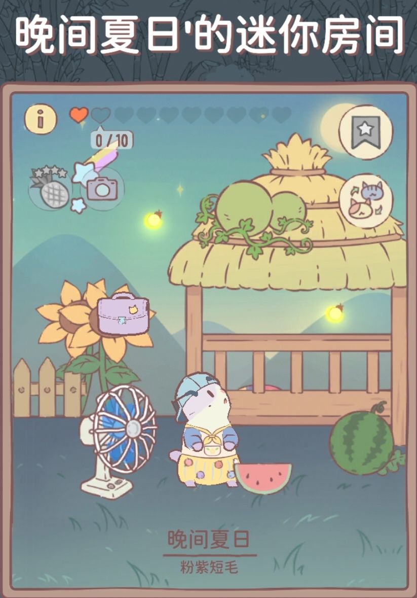 可爱猫猫2 8