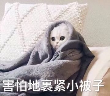 人生第一部恐怖片，全程高能，快进一秒都不行！