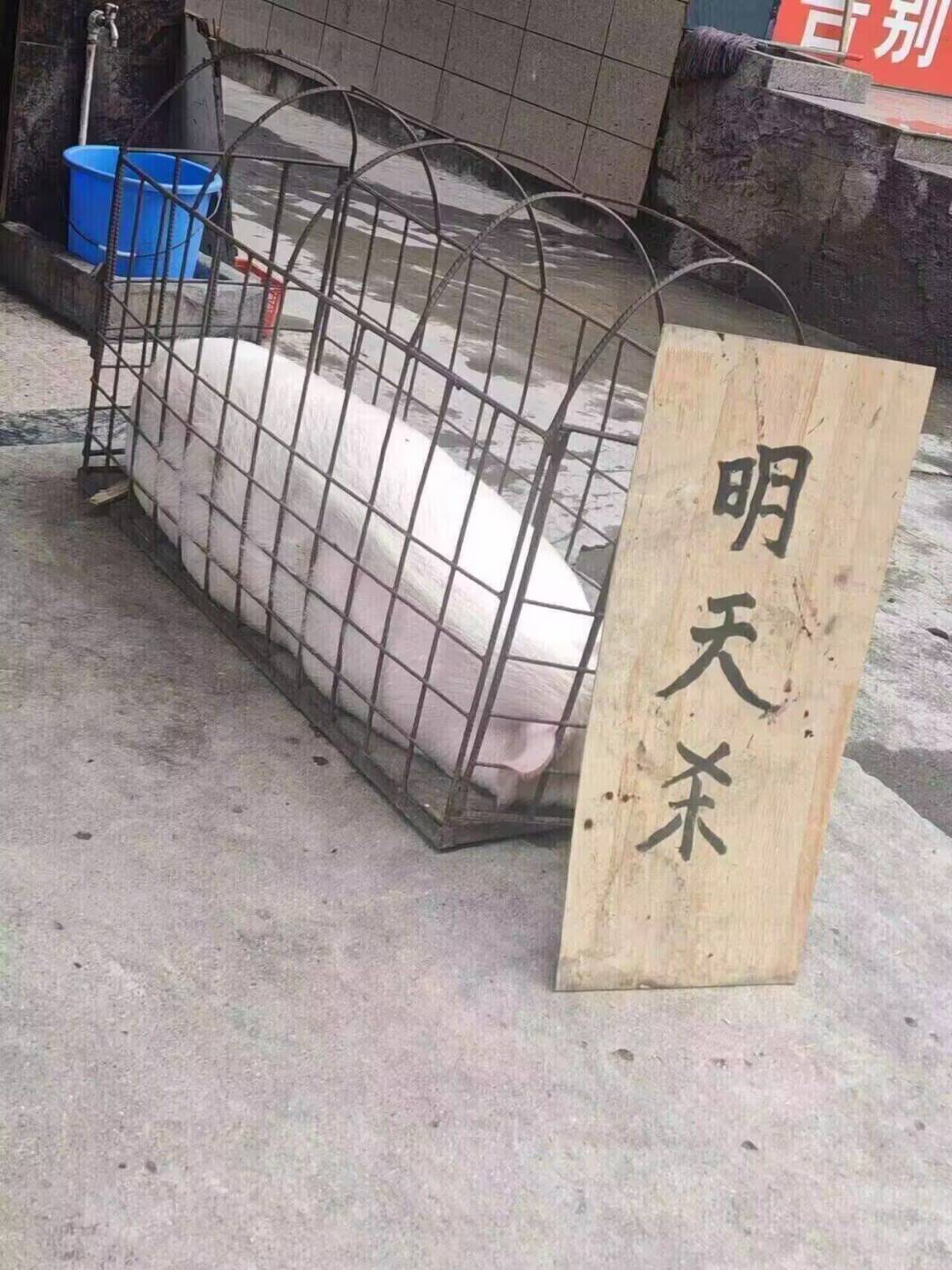 绝望贴! 1