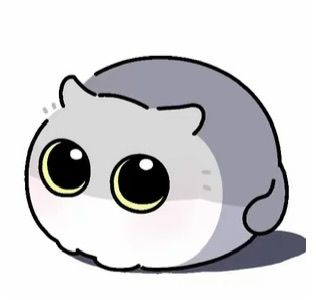 什么时候暴服开新区啊 1