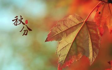 山河入秋，人间向好