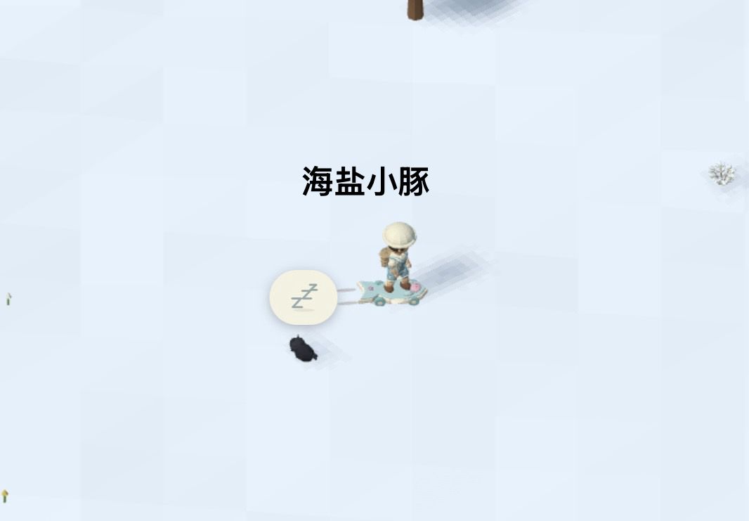 记录/去你的岛/目前拥有的滑板外观 13