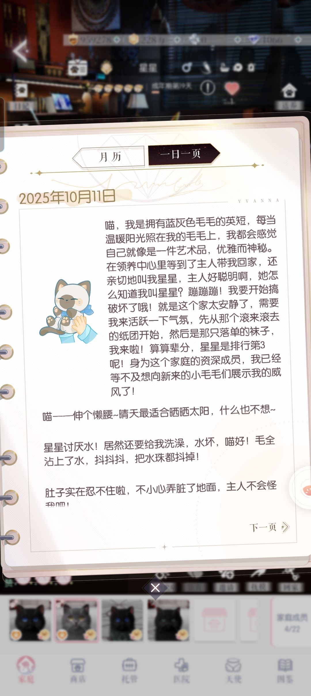 关于猫猫 2