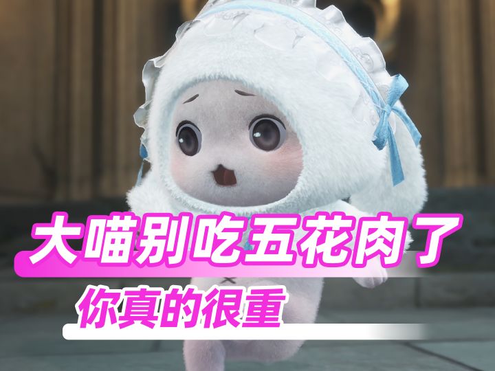 不小心把大喵体重算出来了咋办截图