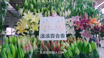 【史上最详细教程】手把手教你零基础做拉拉！