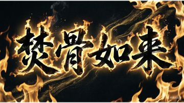 【宗师之上攻略】焚骨如来：金红二境少林（地仙和尚很强👍）