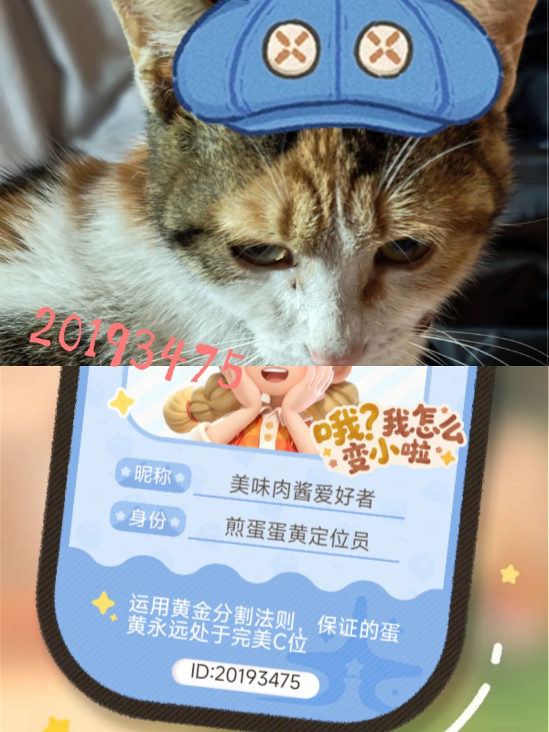 戴上小蓝帽! 1
