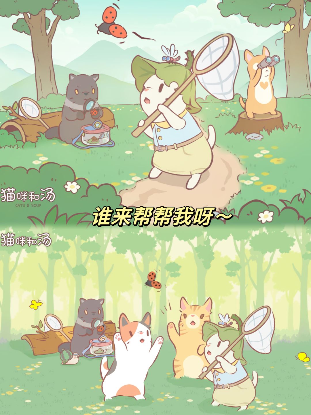 铲屎官狂喜‼️可爱猫咪烹饪游戏上线啦 3