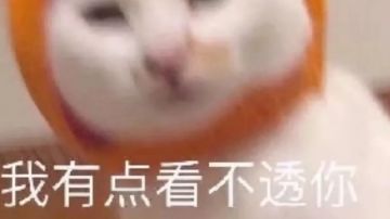 新版本开会内容总结分析