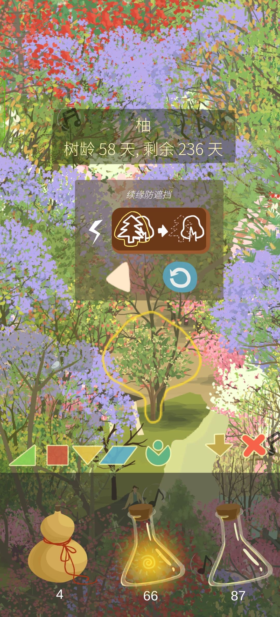 樱桃绿了,柚开花,桑、枇杷结果 3