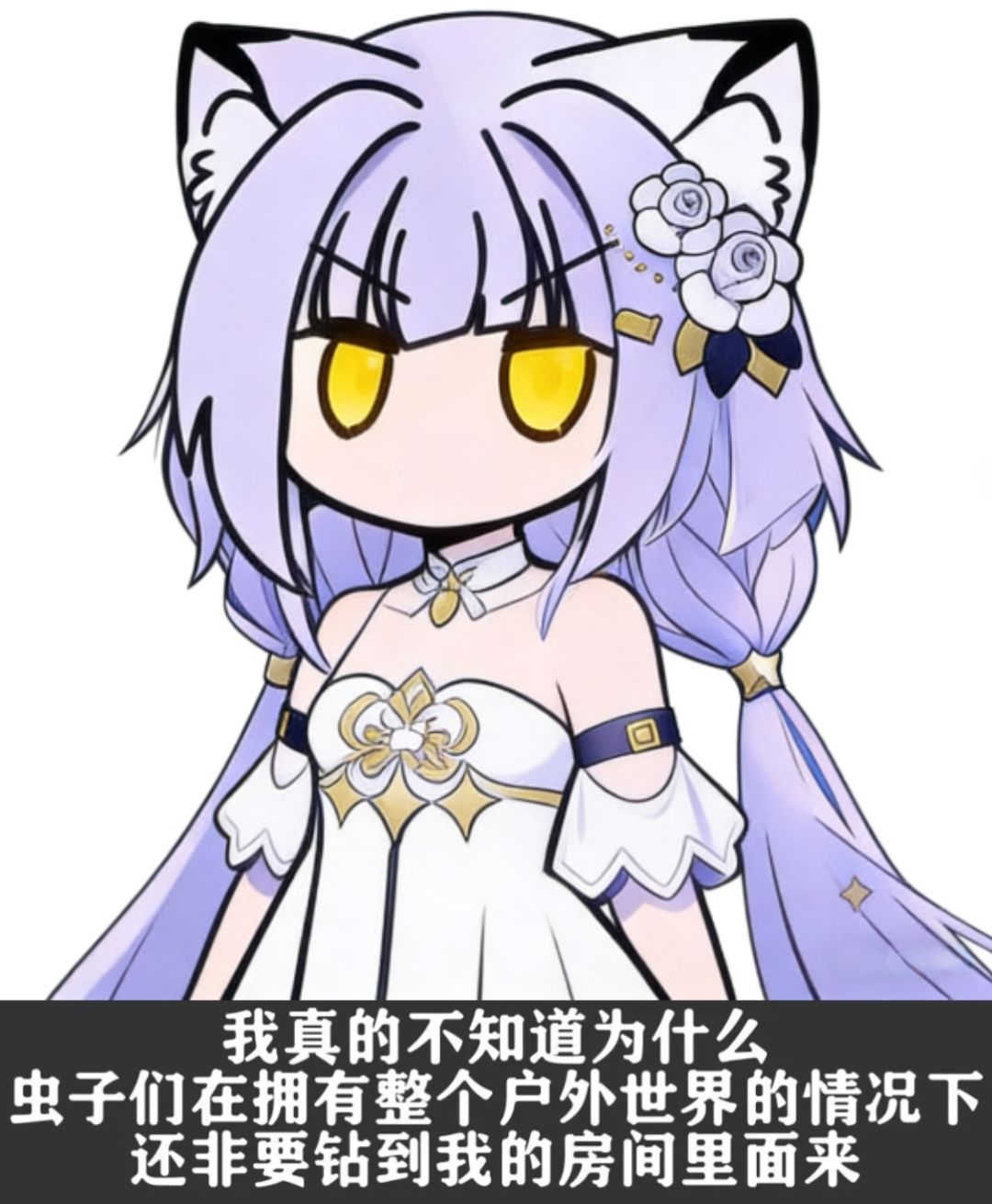 潮汐么么第663期 2