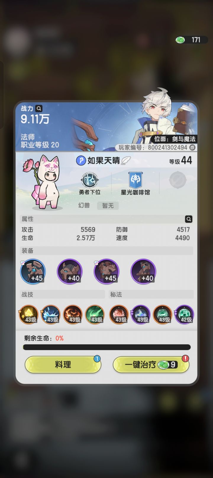 给山5的法师一点参考截图