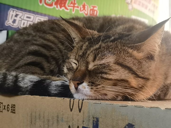 想开新号入坑28号新版本,是现在入还是等待截图
