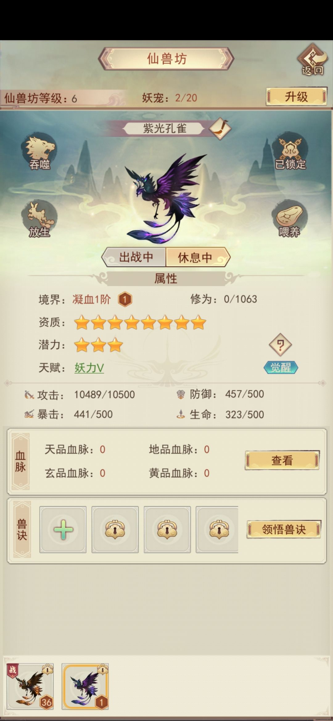 宠物 2