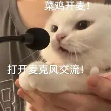 玩游戏被人嘲讽 “菜”,该怎么回应?截图