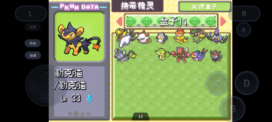 三天完结白金光全内容 3