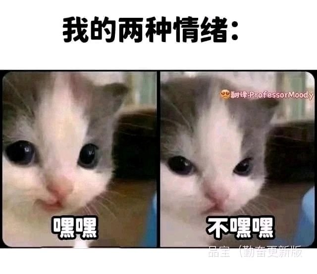 宝藏游戏又又又送皮肤啦截图