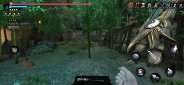 世界四 贪财位置