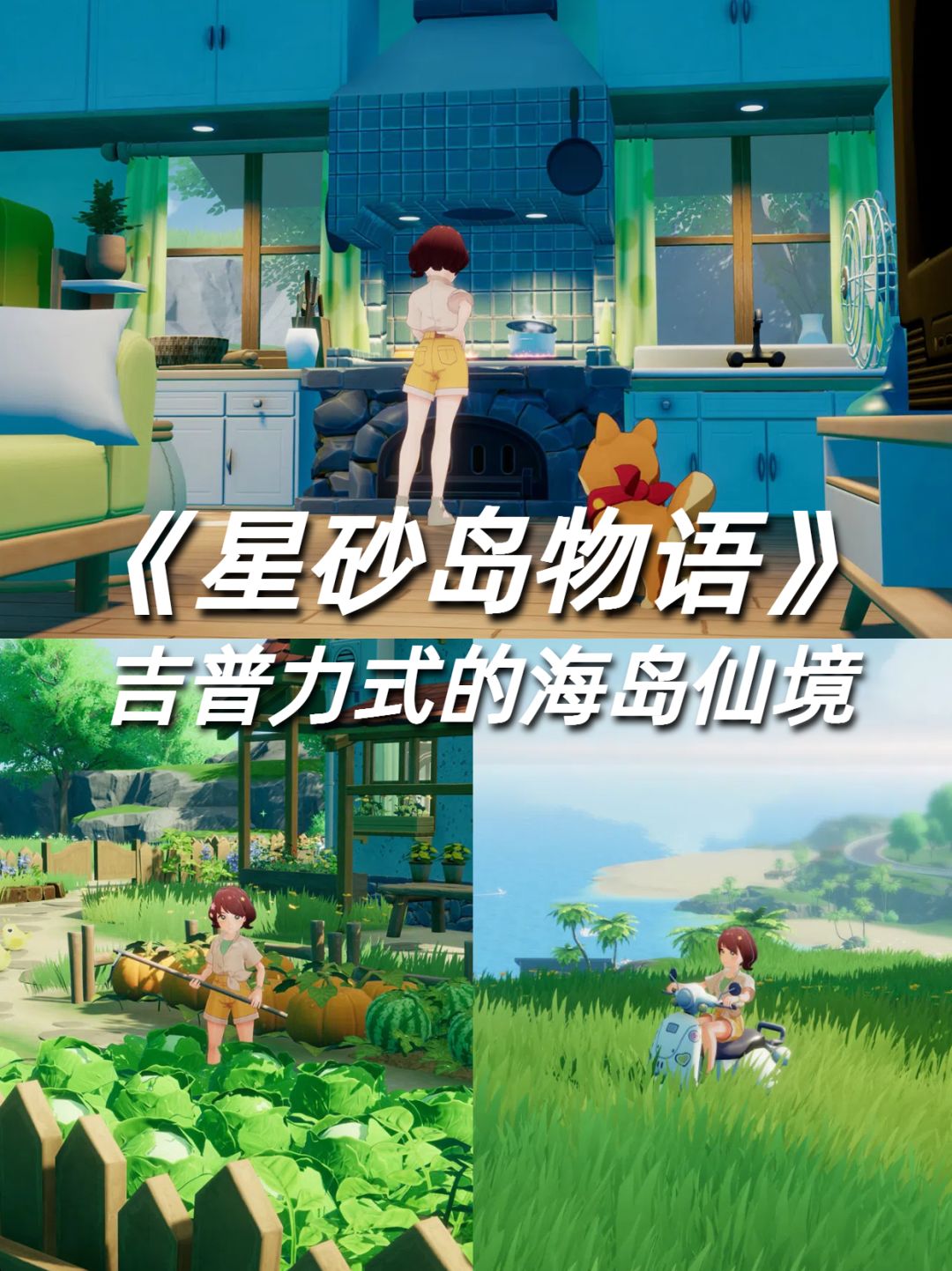 今年发布❗️吉普力式的海岛仙境❗️❗️ 1