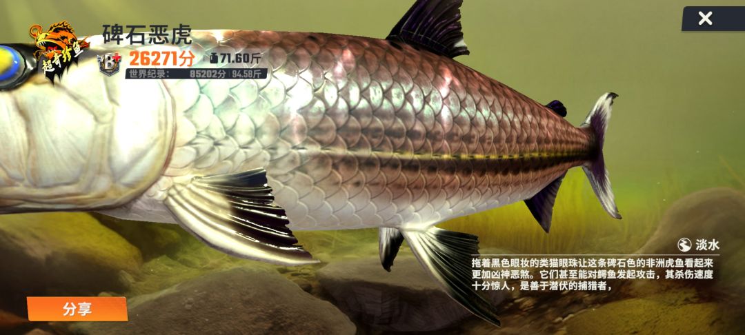 黄金鱼骨 2